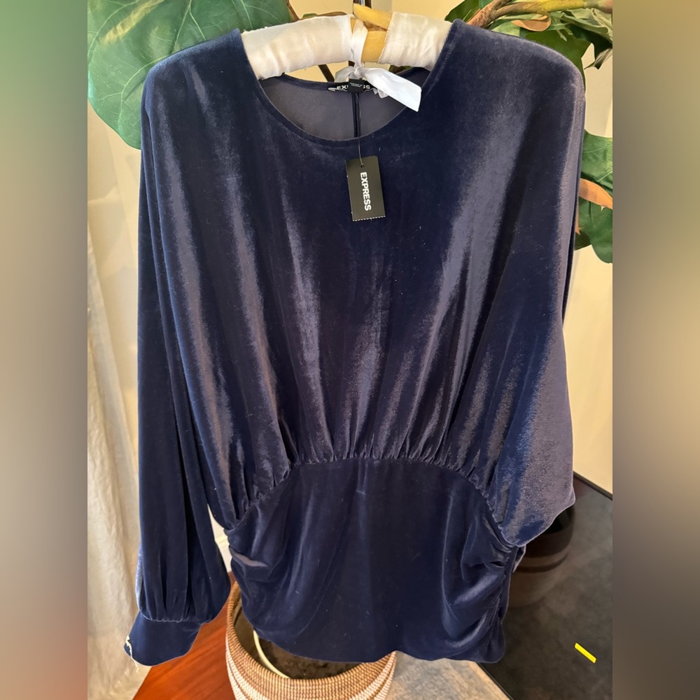 Express Size Medium Velvet Blue/Purple Blouse New With Tags